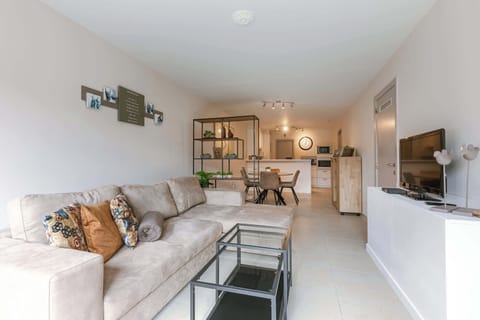 Open Living Space with TV and Natural Light