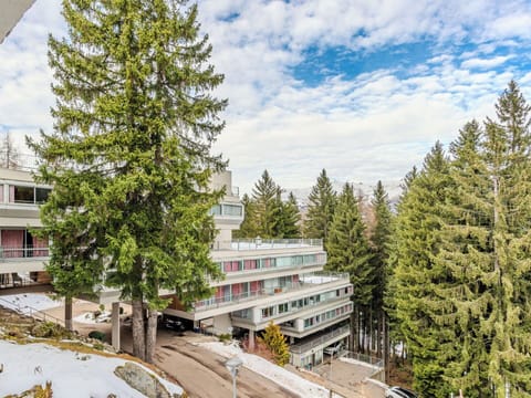 Apartment, Larch, Evergreen, Pine Family, Balcony