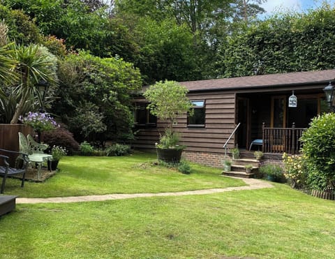 The Cabin