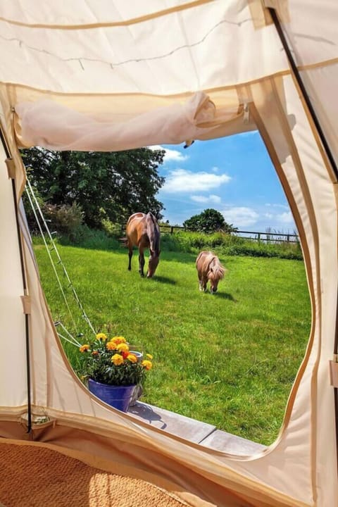 12363900-c65e-4bb3-9a55-37eb43328bec