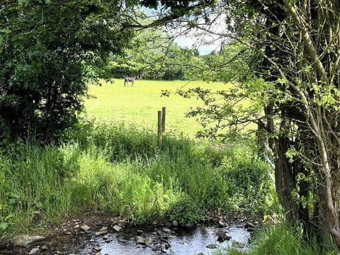 bf9b9cf4-c4f4-4cf8-94db-707f36601807