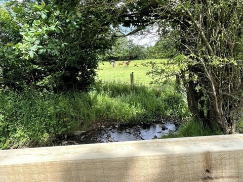 a5e2086b-a195-45ee-8700-c74beca8b8fe