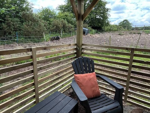 dff51974-b1fb-4730-b11e-befdb362fca8