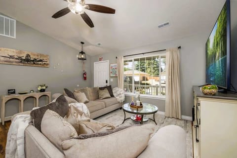 Living room with large plush couches