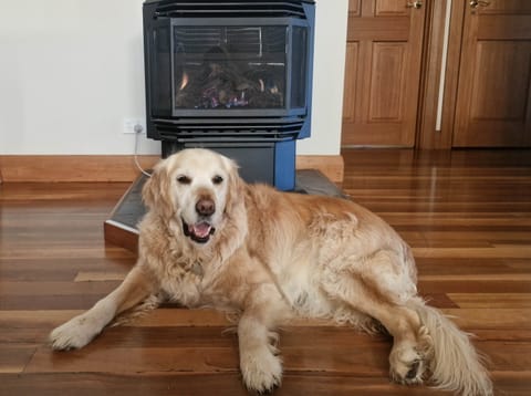 Bridget's in winter