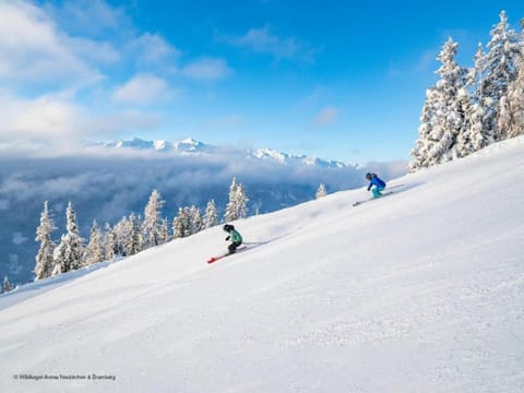 Surroundings [winter] (1-5 km)