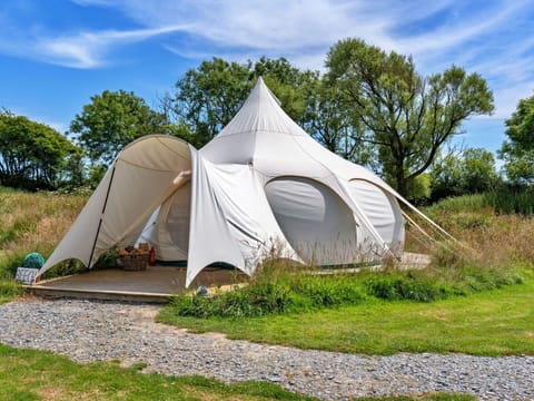 Tent, Camping, Recreation, Shade, Canopy, Leisure, Dome, Dome