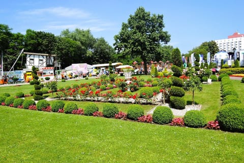 Surroundings [summer] (1-5 km)