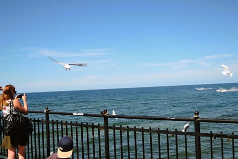 Immediate Surroundings [summer] (<1 km)