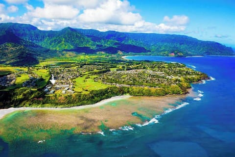 d1a537dc-98e5-4913-8f29-cef8ed777e87