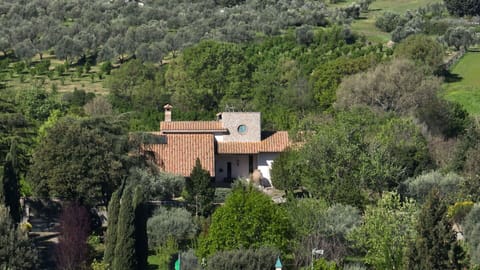 Tree, Shrub, House, Roof, Home, Rural Area, Land Lot, Estate, Plantation, Garden