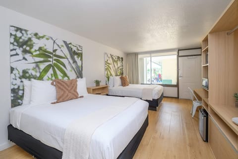 Large spacious suite.
