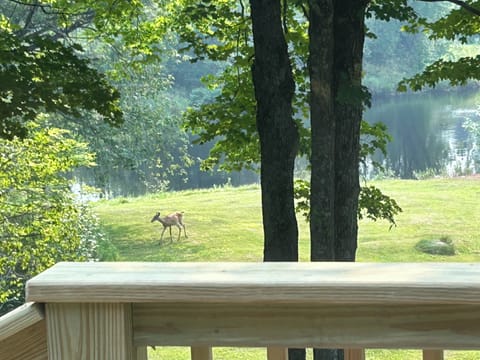 Looking out at the Michigamme River