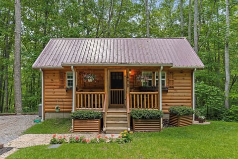 Tucked beneath the trees, this peaceful log cabin is the perfect escape for nature lovers and lake goers alike.