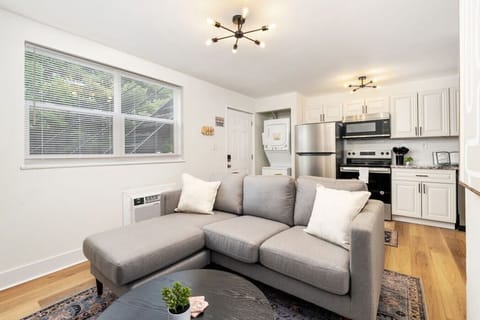 Open Liiving Room, Kitchen, Dining Area