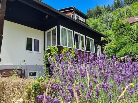 Vacation home Huberei - Holiday apartment Bergglück Apartment in Carinthia, Austria