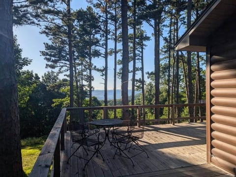 Table and Chairs on back deck
