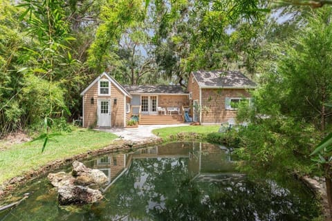 Koi pond