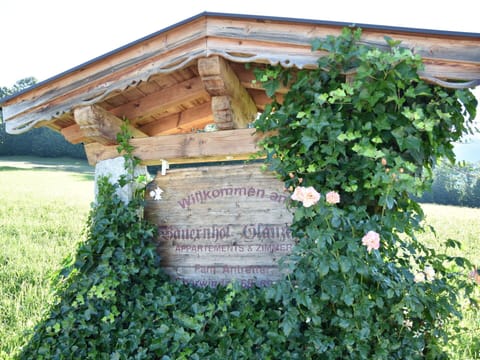 Shrub, Petal, Spring, Garden, Floristry, Rose Family, Rose, Botanical Garden