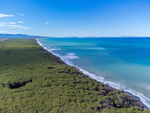 Blue, Daytime, Horizon, Sea, Ocean, Coastal And Oceanic Landforms, Coast, Shore, Beach, Bay