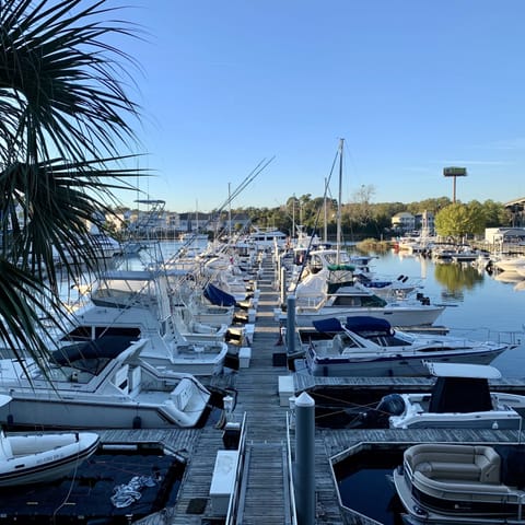 Marina