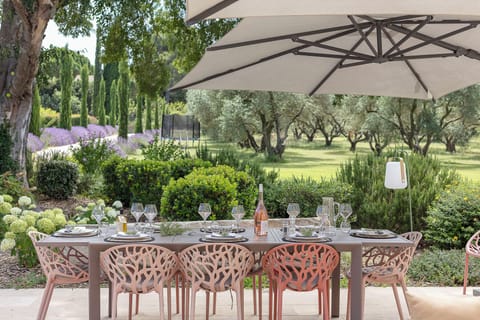 Spacious holiday home in the heart of Provence