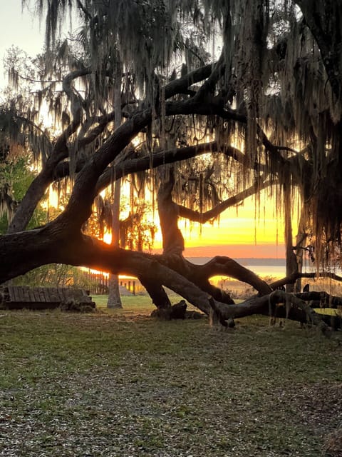 Stunning Sunrise Views