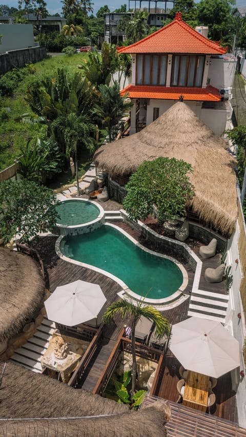 Birdseye View of Property