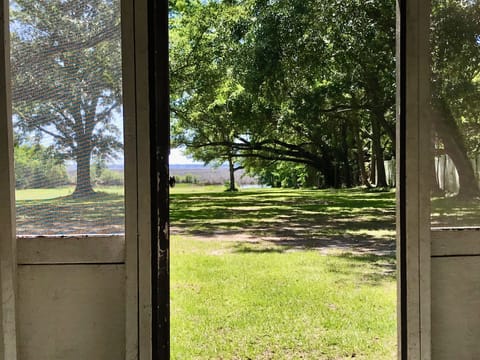 View from back porch