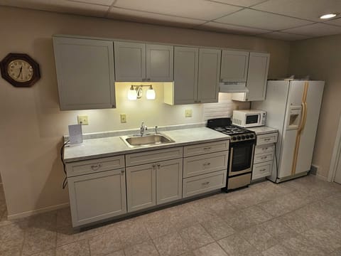 Lower level kitchenette