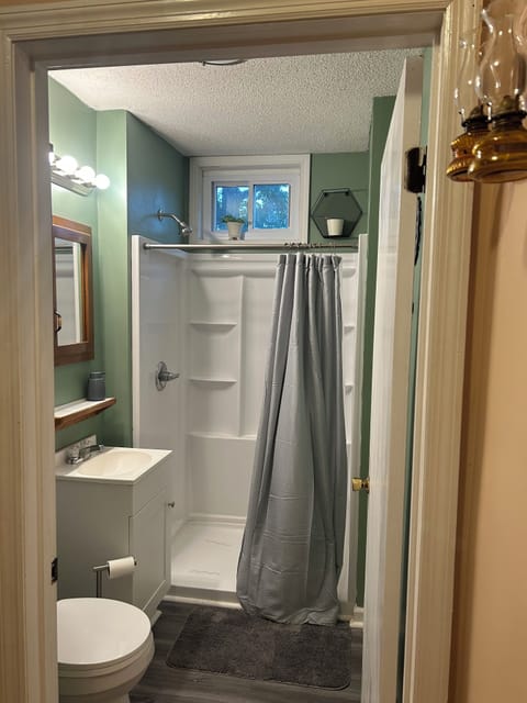 Downstairs bathroom 