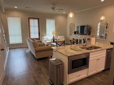 Kitchen and Living Area.
