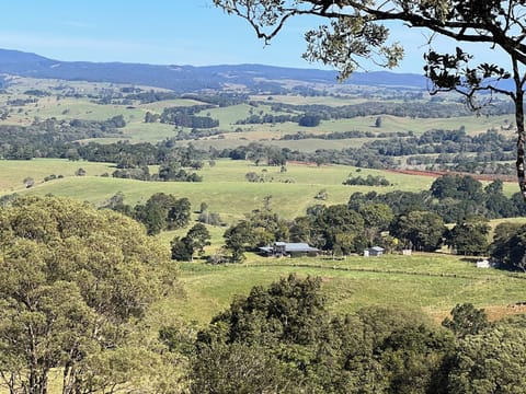 Looking down from the hill above Altitude 700 RR