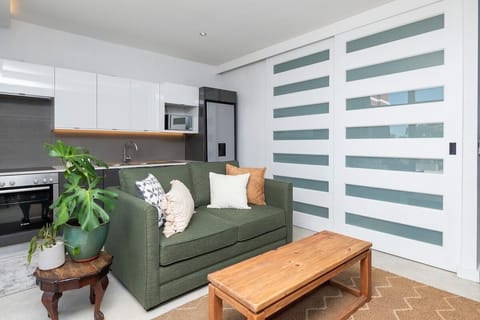 Stylish Green Point Apartment (11927)