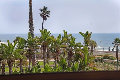 Ocean views. Beach front 4 sleeper Great Location (2122)