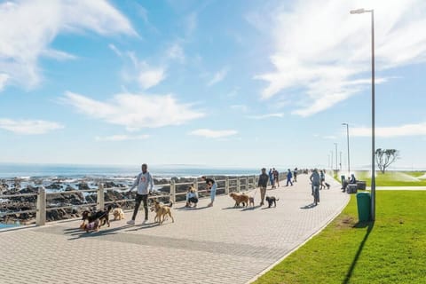 Couples Love nest studio (3318)