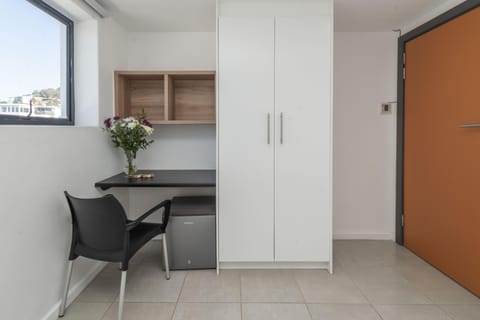 Penthouse Room with Shared Spaces in Metropole (24144)