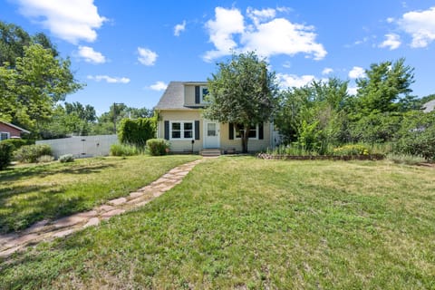 Grass, Lawn, Backyard, Nature, Outdoors
