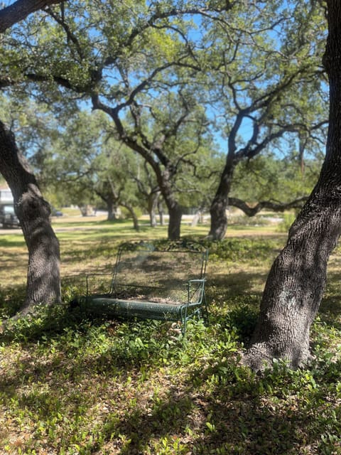 A perfect spot to pause, breathe, and take in the beauty of nature.