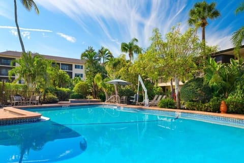 Lounge poolside under blue skies and swaying palms.