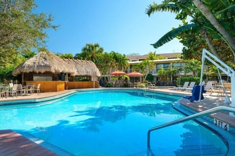 Dive into sparkling waters surrounded by lush tropical palms.