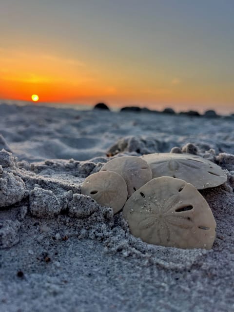Beautiful Sunsets!