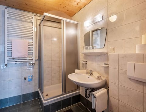 Apartment/apartment, 2xshower, 2xWC, 2 bedrooms - Hitscherhof - Abart Farm Stay in Salzburgerland