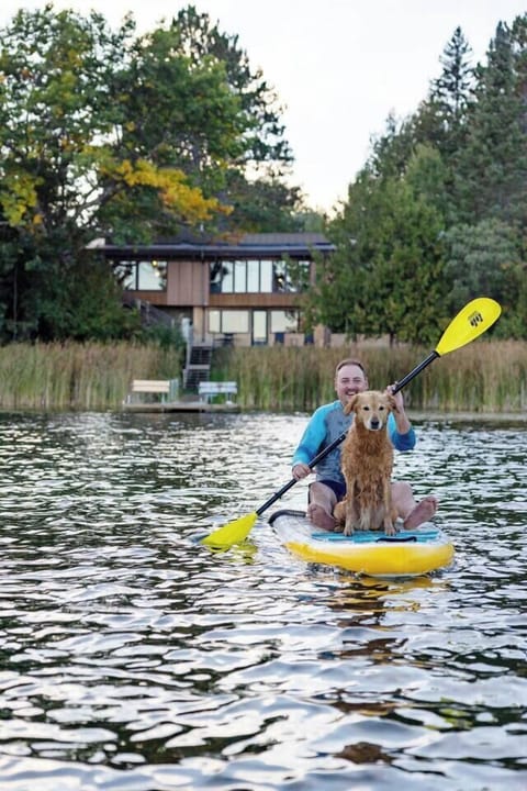A dog-friendly lake perfect for swimming and adventure.