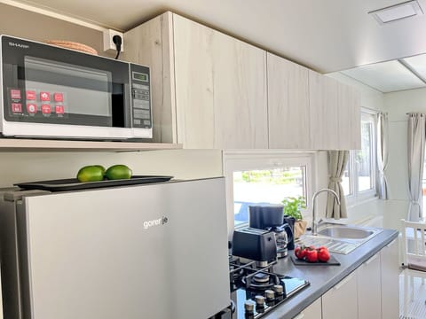 Kitchen Appliance, Major Appliance, Kitchen, Home Appliance, Countertop, Interior Design, Small Appliance, Cabinetry, Fruit, Houseplant