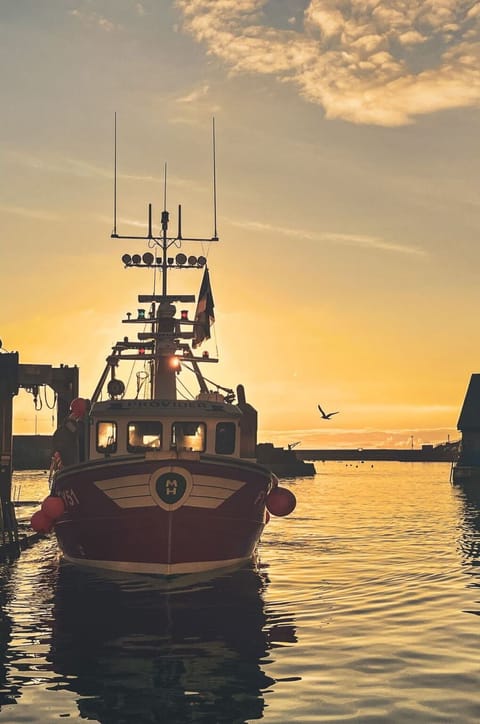 Boat, Mode Of Transport, Water, Watercraft, Transport, Dusk, Sunset, Ship, Sea
