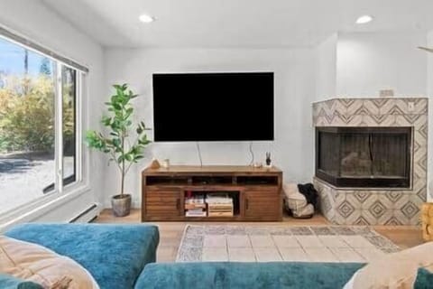 SWP Lions Gate 112 fireplace and TV