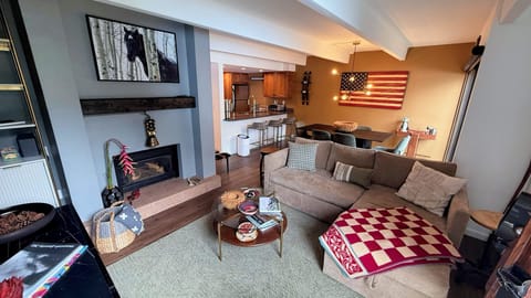 Gas fireplace and living area