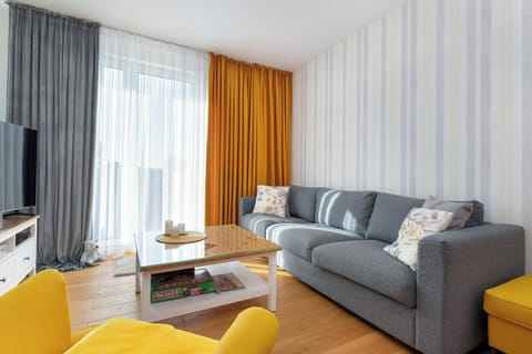 Comfortable, fold-out sofa in the living room.