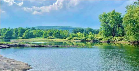 River picture (1)